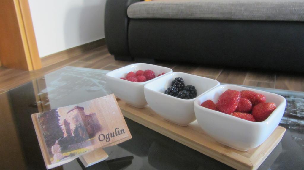 Apartment Marin Ogulin Exteriör bild
